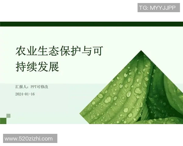 以生态保护为核心推动可持续发展的路径与策略探索