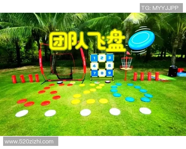 飞盘新风潮上海飞盘队的蜕变与挑战之旅